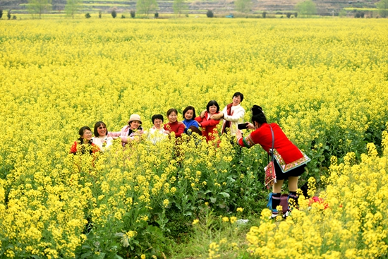 貴州黎平：萬畝油菜花開引客來 加速春季旅遊復蘇_fororder_微信圖片_20240318155055