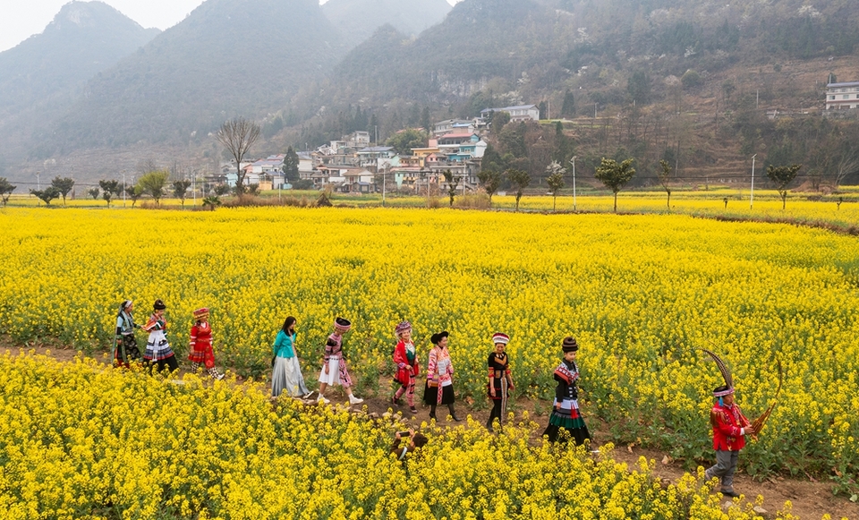 貴州水城陡箐鎮梅子關村500畝油菜花進入最佳觀賞期_fororder_微信圖片_20240320135436