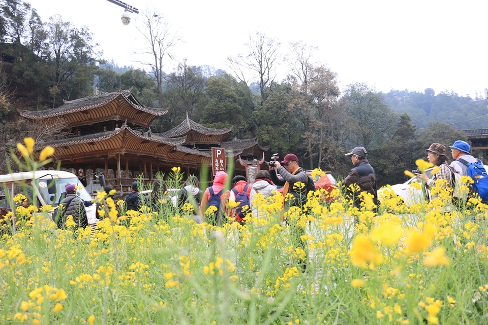 貴州雷山郎德苗寨：油菜花盛景催生“花經濟”_fororder_圖為郎德遊客在拍照留念.JPG