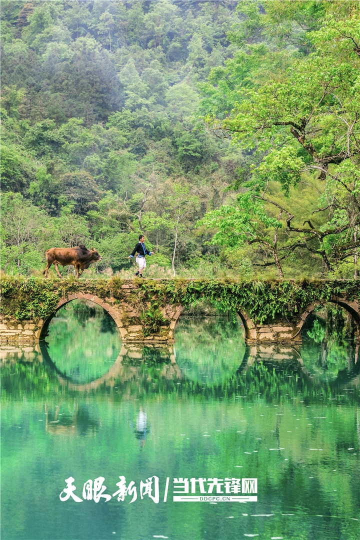 “黔”景無限！貴州奮力打造世界級旅遊目的地