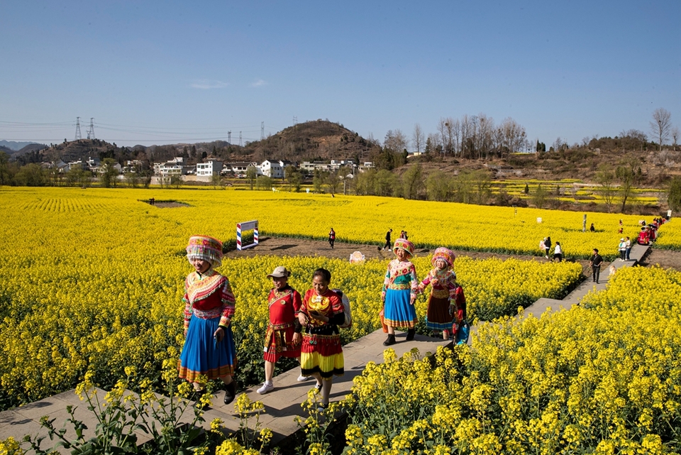 貴州黔西：踏青賞花 樂享春光_fororder_2024年3月11日，遊客在貴州省黔西市洪水鎮解放村觀賞油菜花。B62I5667.JPG