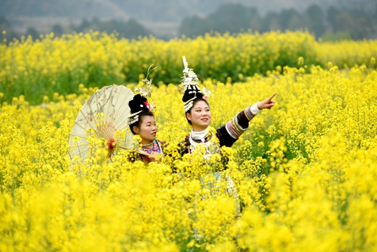 貴州黎平：萬畝油菜花開引客來 加速春季旅遊復蘇_fororder_微信圖片_20240318155122