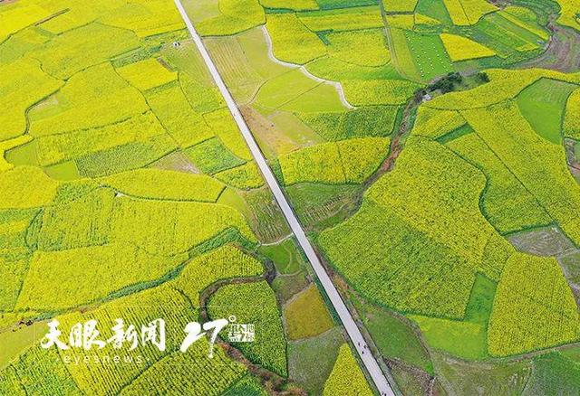 上春山 賞百花｜莫負黔地好光景 春遊貴州正當時