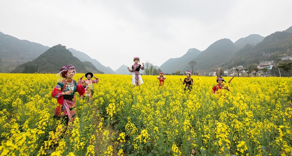 貴州水城陡箐鎮梅子關村500畝油菜花進入最佳觀賞期_fororder_微信圖片_20240320135425