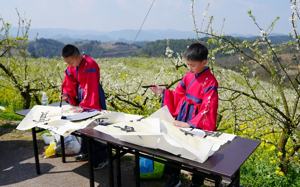 貴州鎮遠舉行第二屆“花語節”活動 邀遊客遊古城賞春景_fororder_微信圖片_20240324151853