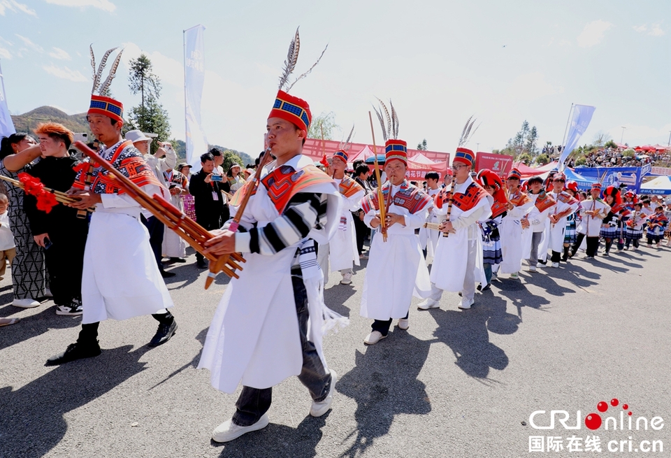 貴州鍾山：萬人齊聚跳花樹祭祖先_fororder_微信圖片_20240325164119