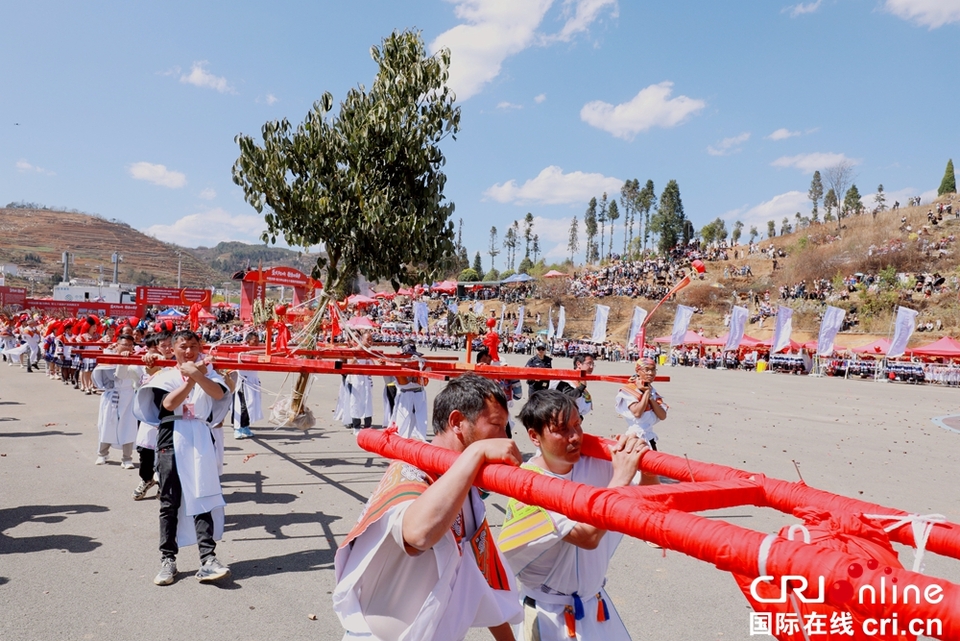 貴州鍾山：萬人齊聚跳花樹祭祖先_fororder_微信圖片_20240325164111