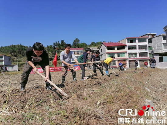 貴州天柱：黨旗飄揚在田間地頭