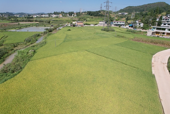 貴州修文：高標農田建設 “糧田”變 “良田”助增收_fororder_微信圖片_20240418163915