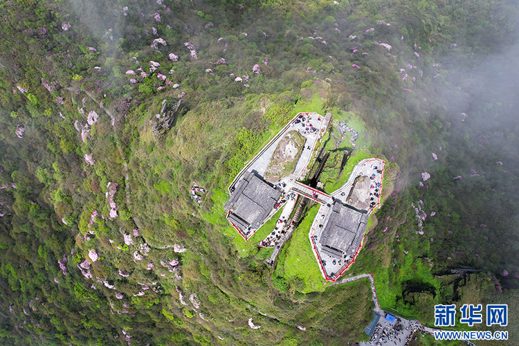 貴州梵凈山：繁花似錦醉遊人