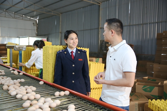 貴州畢節稅務：稅惠賦能 “小雞蛋”走俏粵港澳大灣區_fororder_畢節市稅務幹部走進畢節盛園蛋業有限公司家禽養殖基地，了解生産經營情況和涉稅疑難（攝影：鄭婷）