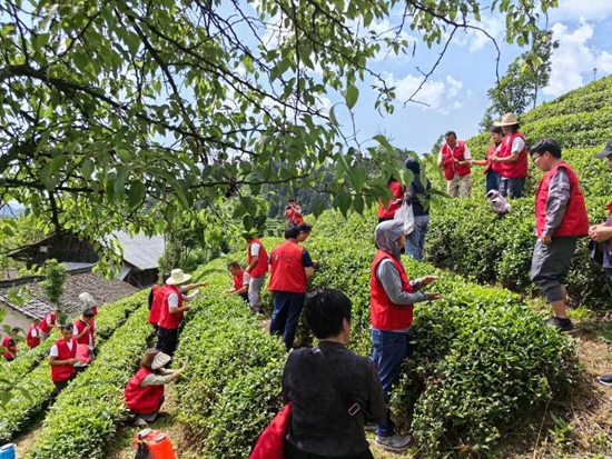 貴州大學專家團隊到雷山縣開設“田間學校”_fororder_20240524214449-jYitLD-20240524212820-weI2Iq-