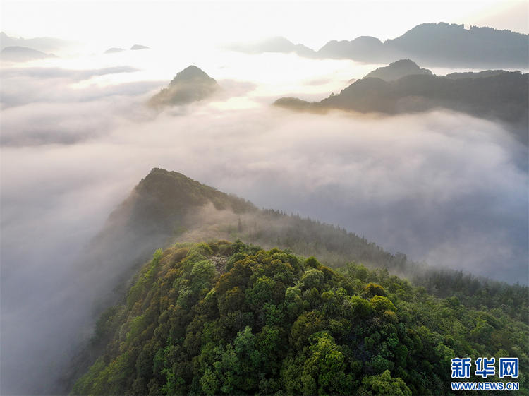 貴州畢節：日出雲海美如畫