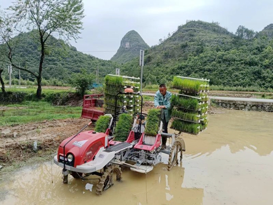 貴州獨山：種田有道 水稻機插秧助農減負增收_fororder_20240517165950-VWjyOp-