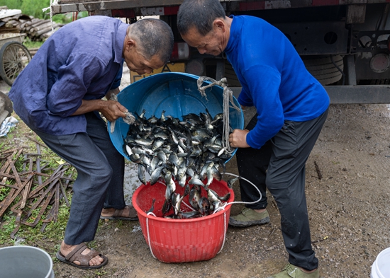 貴州鎮遠：發魚送技暖人心 鄉村振興添動能_fororder_群眾排隊領魚苗 (2).JPG