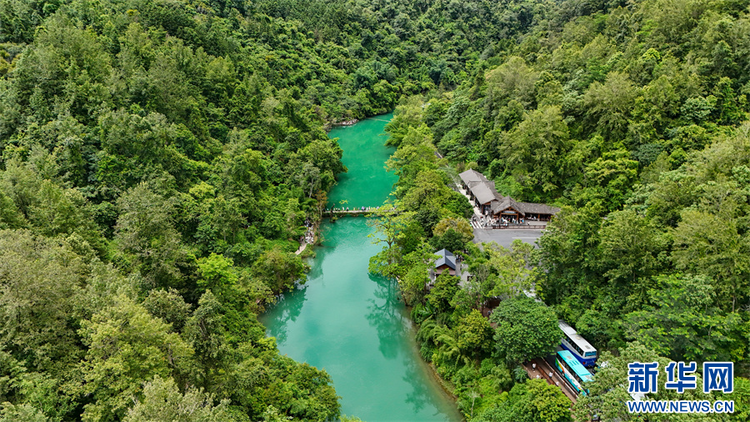 貴州荔波：暑期旅遊人氣旺