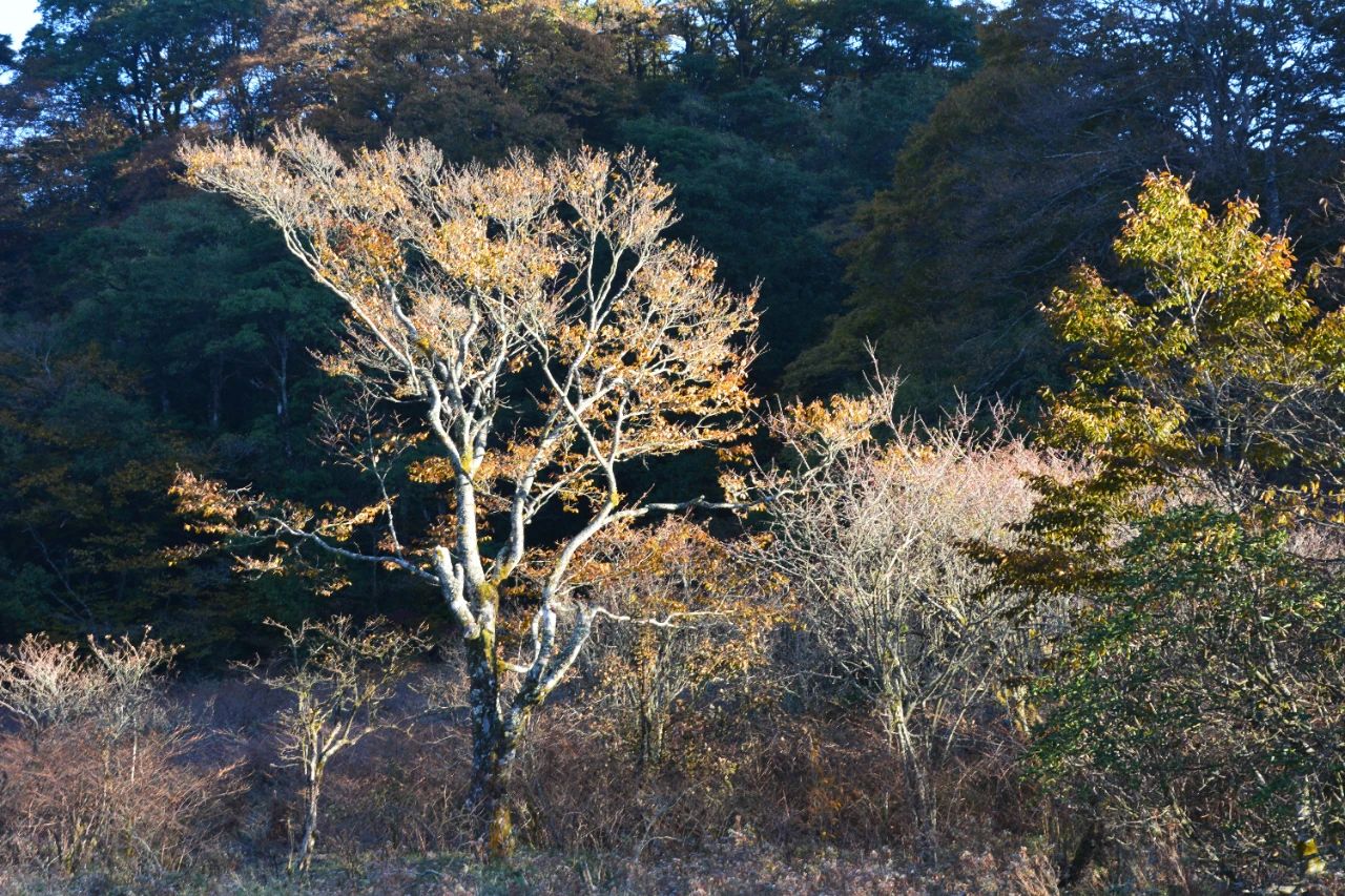 貴州山色丨初秋攀登，貴州新晉網紅登山地等你來打卡！