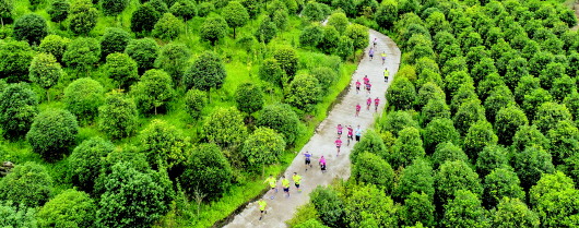 （大頭條、大旅遊）開啟多彩貴州旅遊新時代 ——我省旅遊産業助脫貧促發展綜述