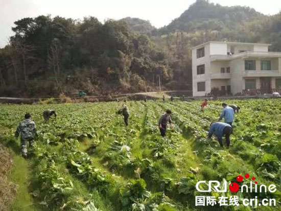 貴州荔波茂蘭鎮： “水陸空”立體式産業新格局助推脫貧攻堅