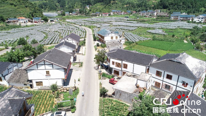 貴州遵義花茂村：守住鄉愁走上致富路