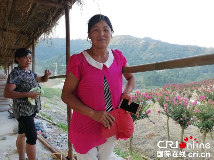 【脫貧攻堅在行動】貴州石阡葛宋村：一年苗圃路 富了窮山溝