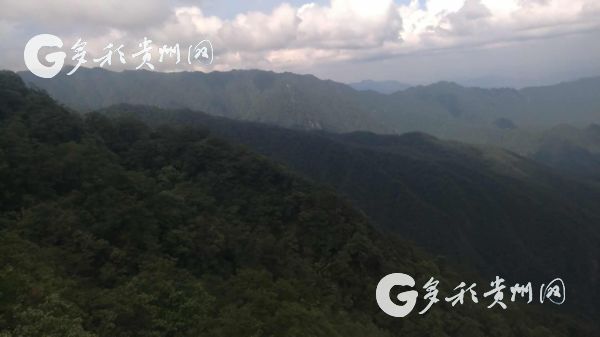 （旅遊）“716旅遊狂歡節”引客入黔 他們這樣點讚貴州