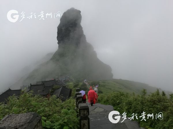 （旅遊）“716旅遊狂歡節”引客入黔 他們這樣點讚貴州