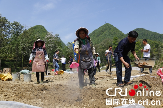 黔南州長順縣創新基層黨建助力脫貧攻堅