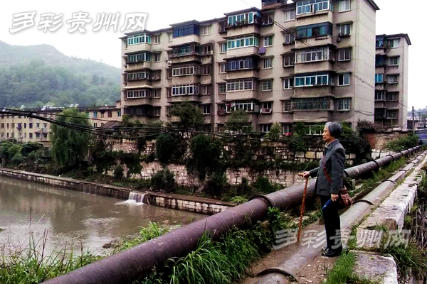 （大生態）聽“護水奶奶”講述巡河的故事