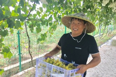 【特色新興産業看貴州】鄉村旅遊助貴州黔南福泉貧困村變小康村