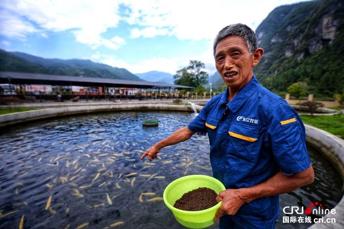 【特色新興産業看貴州】梵凈山腳下凈河村：生態養殖造福鄉民