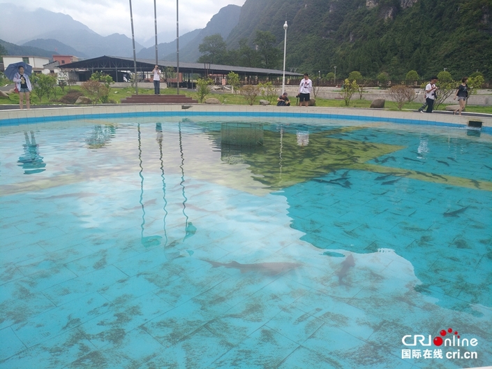 【特色新興産業看貴州】梵凈山腳下凈河村：生態養殖造福鄉民