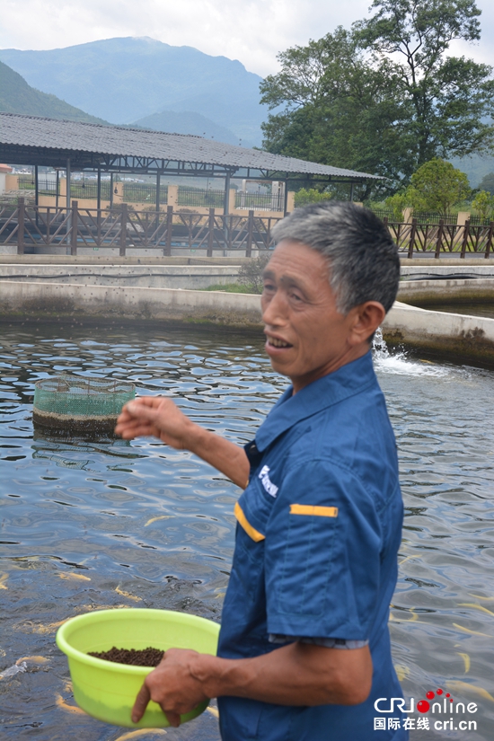 【特色新興産業看貴州】梵凈山下凈河村：冷水池裏的火熱致富經