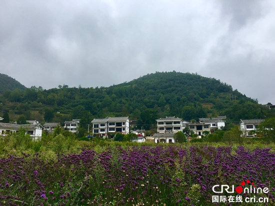 “旅遊興村”助貴州畢節大方貧困村變示範村