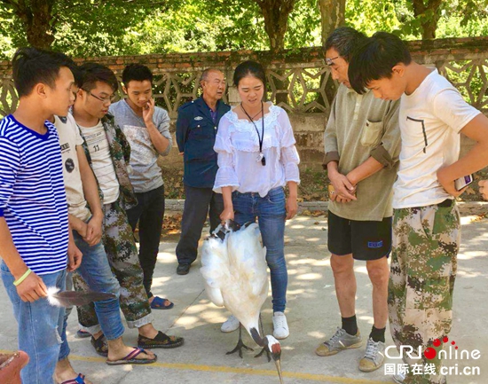 貴州森林野生動物園三隻“離家”丹頂鶴被尋回