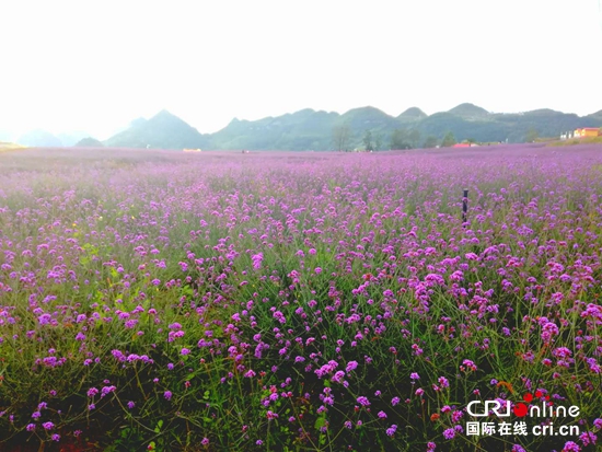 中國貴州·世界花都東方田園綜合體9月18日正式開園