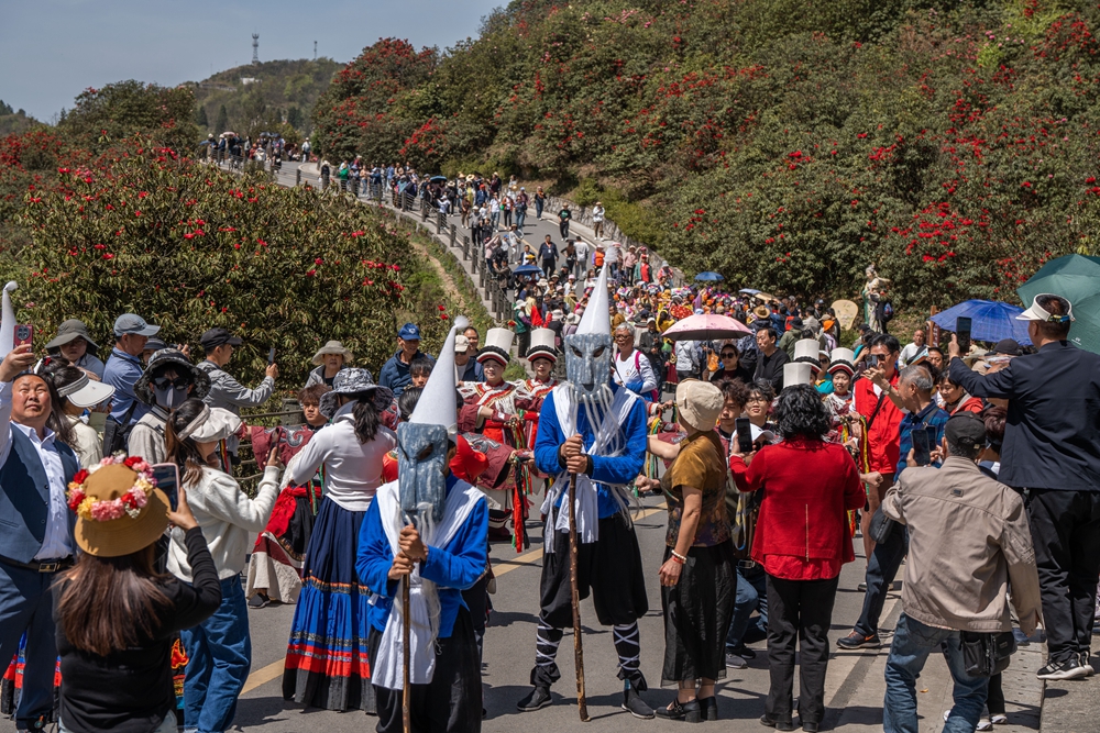 貴州畢節百里杜鵑迎盛花期 邀您共赴春日“地球彩帶”之約_fororder_2025年4月13日，在貴州省畢節市百里杜鵑管理區，遊客正在景區裏觀看花仙子巡遊表演。 (4)