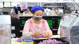 抓品質 保訂單 貴州獨山潮玩工廠生産忙