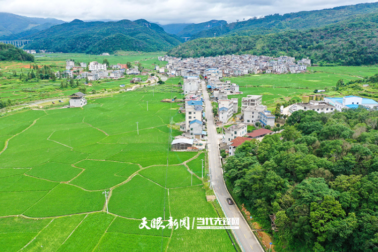 2024年“十大最美農村路”名單公佈  貴州這條公路入選