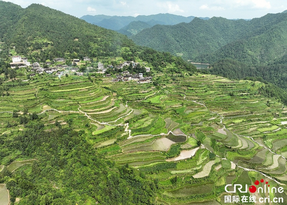 貴州凱里：藏在大山之間的營盤梯田_fororder_圖片1