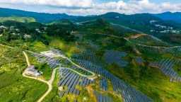 六盤水市鍾山區：能源改革激活高品質發展“源”動力