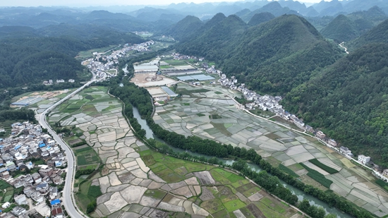 貴州平塘：土地“託管” 繪就糧食增産增收新圖景_fororder_京舟壩區