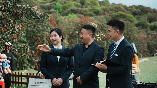 “郵”筆繪就文旅畫卷 黔地山水浸染金融新色_fororder_百里杜鵑 (1).JPG