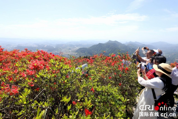 貴州丹寨：萬畝杜鵑花海引客來_fororder_圖片2