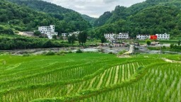 貴州修文龍場街道：立查立改解決群眾“飲水難”
