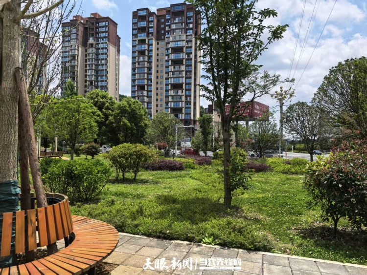 見縫插綠！貴州系統化織補城市零碎空間