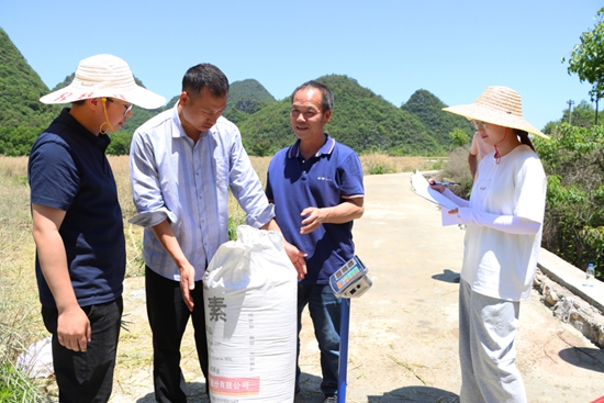 貴州獨山縣：油菜豐收 産業振興_fororder_20250513131641-UsxfeN-