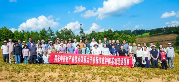 國家中藥材産業技術體系太子參單品種攻關工作會議在貴州施秉舉辦_fororder_55
