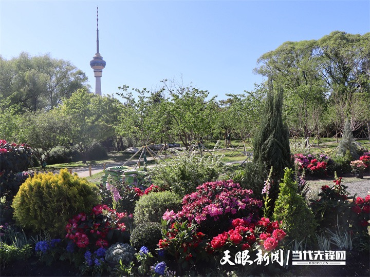 花綻京華 茶韻流芳，貴州在京奏響文化“三重奏”