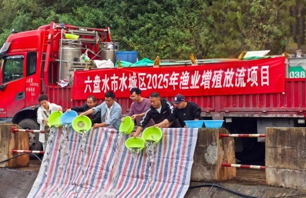 貴州水城：60多萬尾優質魚種“安家”雨汪河水庫 助力生態治理與漁業發展_fororder_2_副本
